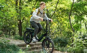 Professionelles 20 Zoll Fat E Bike