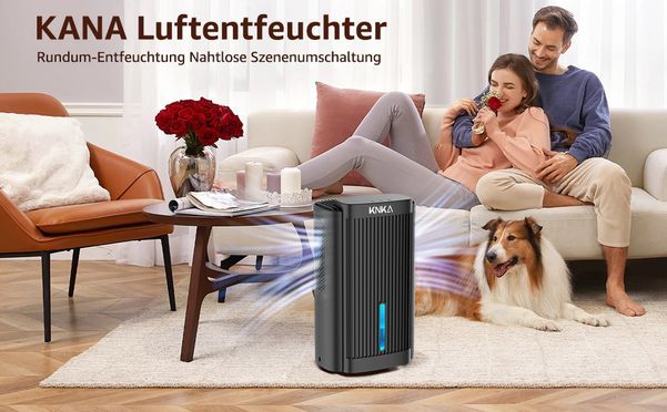 KNKA Luftentfeuchter, Luftentfeuchter Elektrisch für Schlafzimmer, Badezimmer, Keller, Schwarz