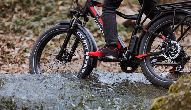 Fatbike Robin die unerschütterliche Offroad Legende