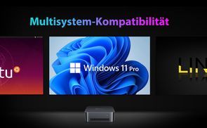 Windows 11 Pro/Home Multisystem Kompatibilität