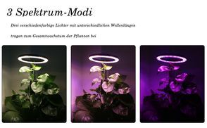 3 Spektrum Modi