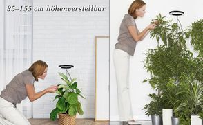 35 155cm Höhe verstellbar LED Grow Lampe