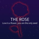 The Rose AR + Blockchain-Live-Action-Spiel