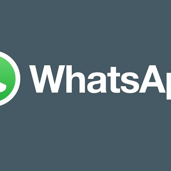 Das Logo des WhatsApp-Messengers