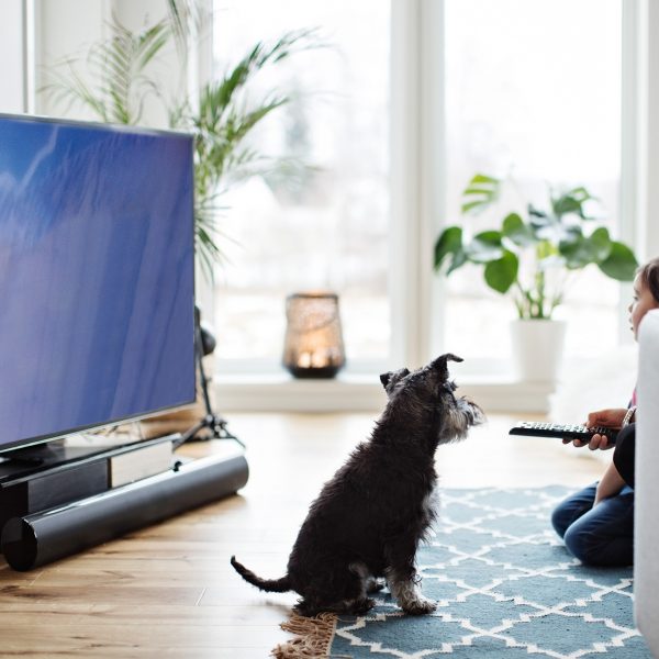 Eine Frau hockt mit einem Kind vor dem Sofa auf dem Boden, vor ihnen steht ein Fernseher mit einer Soundbar.