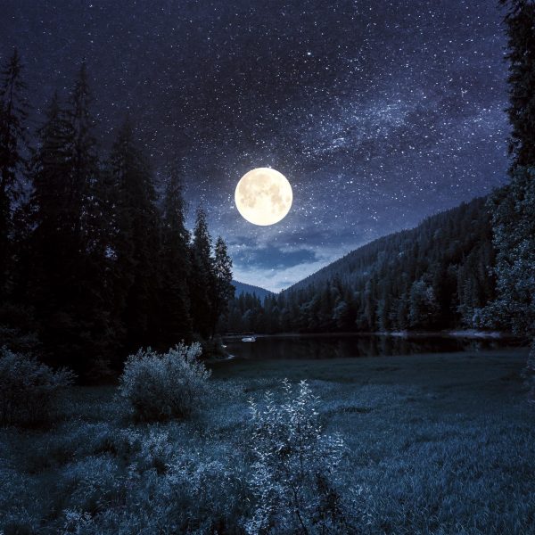 Der Vollmond erstrahlt über Tannen und Bergen am Horizont.