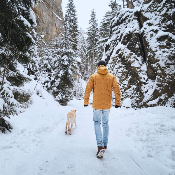 Eine Person in orangefarbener Daunenjacke spaziert mit einem Hund durch eine verschneite Landschaft.