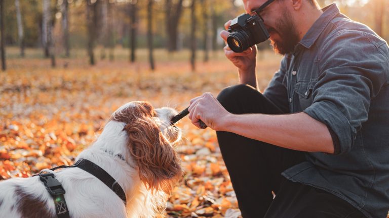 Eine Person fotografiert mit einer Kamera einen Hund in herbstlicher Umgebung.