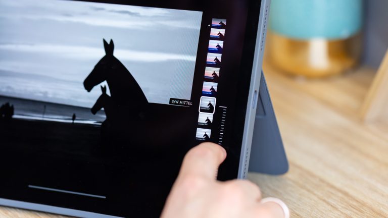 Eine Person wählt einen Filter in der Fotos-App auf dem iPad aus.