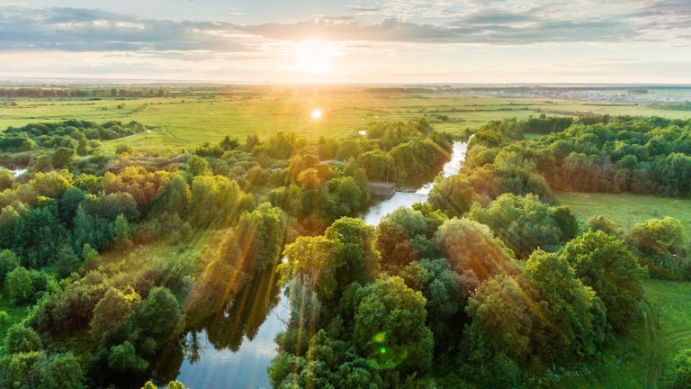 Eine grüne Landschaft, die von einem Fluss durchzogen ist aus der Vogelperspektive.