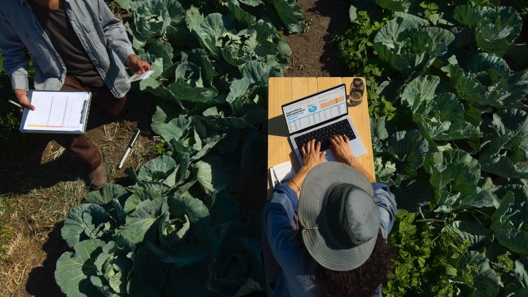 Eine Person sitzt auf einem kleinen Schreibtisch in einem Feld und arbeitet bei sonnigem Wetter mit einem MacBook Pro (2024).